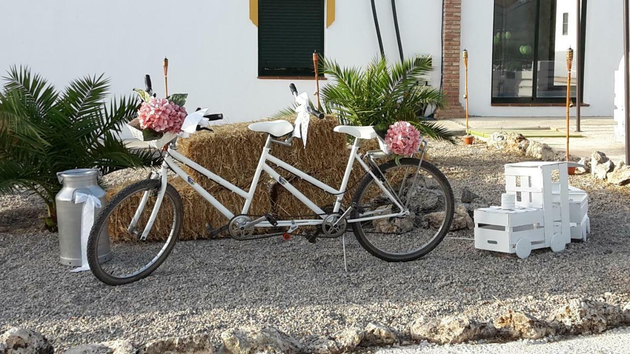 Alojamiento Rural El Chaparral Setenil De Las Bodegas Eksteriør bilde